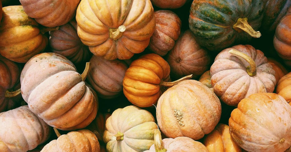 Pumpkin Spice And Everything Nice