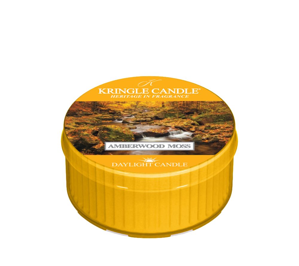 
                  
                    Amberwood Moss Duftkerze von Kringle Candle online kaufen – Duft mit Amber, Moos & Tanne, perfekt für Herbst
                  
                