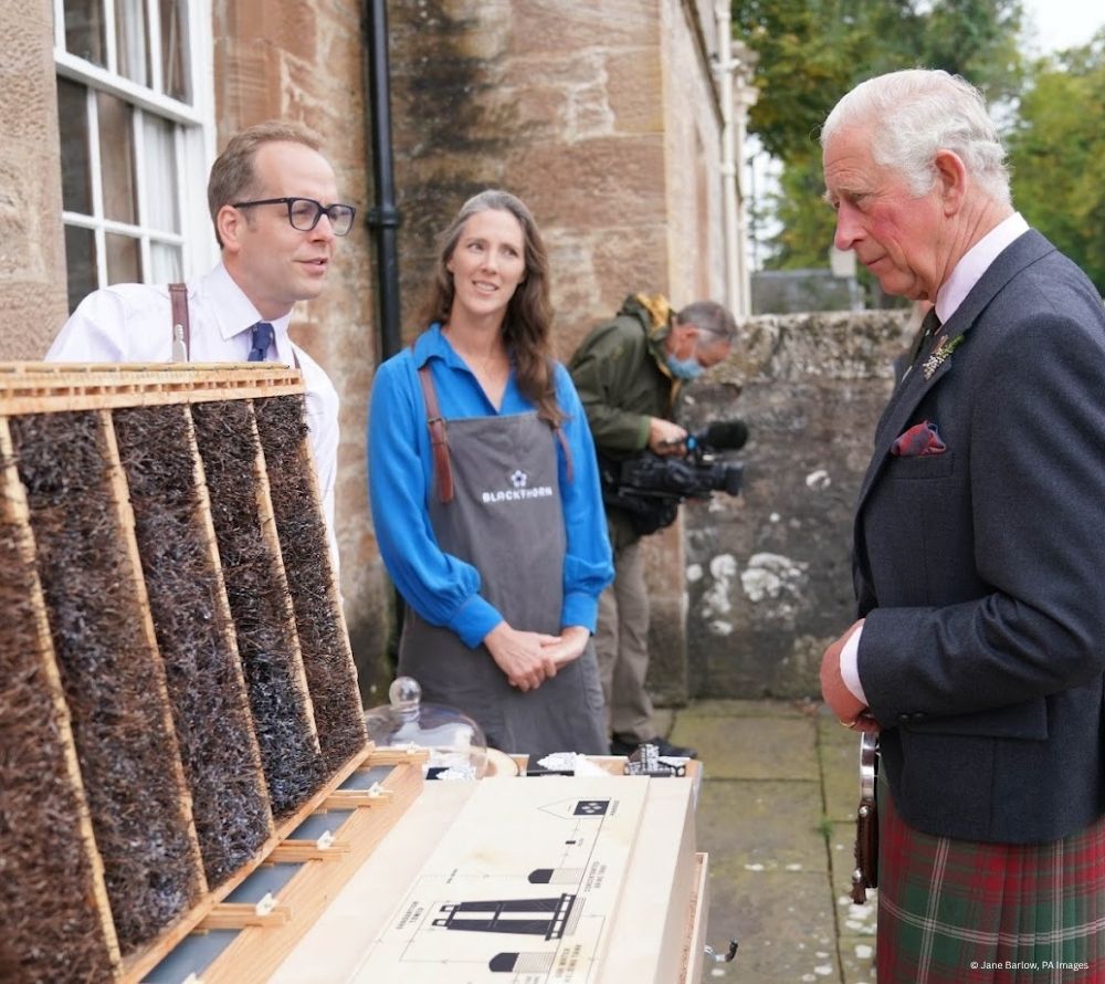 Blackthorn Sea Salt kaufen – handgeschöpftes Meersalz aus Schottland, intensiv im Geschmack