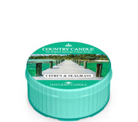 Citrus & Seagrass Duftkerze von Country Candle – frischer Sommerduft mit Zitrus & Minze