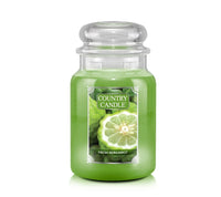 Country Candle Fresh Bergamot Duftkerze – Erfrischende Bergamotte, Zitrus & Basilikum für belebende Frische
