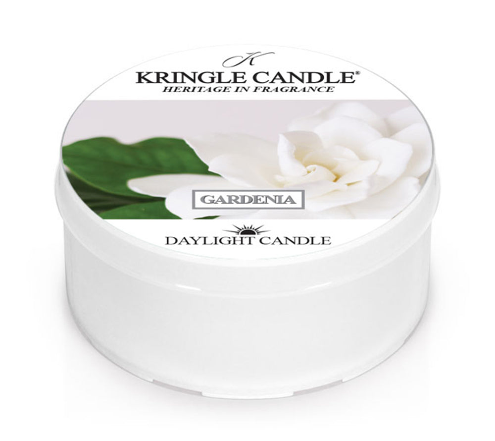 
                  
                    Gardenia Duftkerze von Kringle Candle online bestellen – Jasmin, Moschus & weiße Blüten
                  
                
