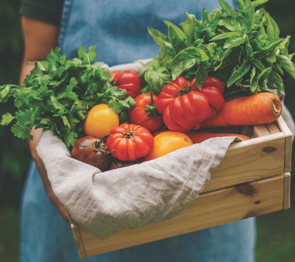 
                  
                    Kringle Candle Garden Fresh Duftkerze – Frische Minze, Basilikum & Zitrus für belebende Gartenatmosphäre
                  
                