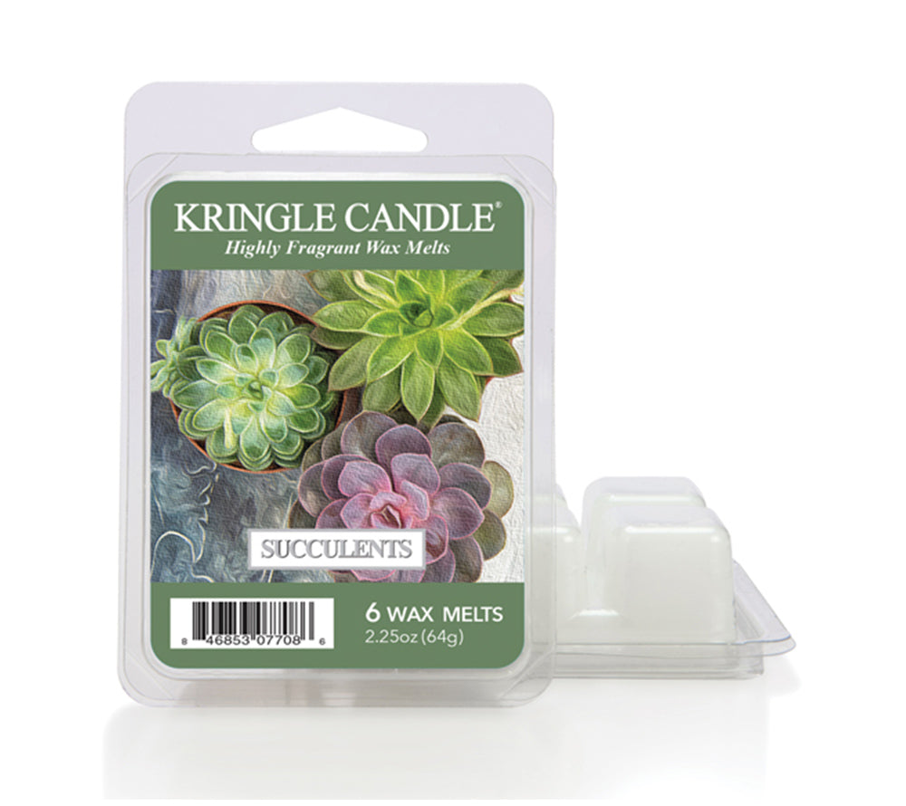 
                  
                    Wax Melts Succulents, 6er Pack Succulents von Kringle Candle ❤️ Große Auswahl an Düften ✓ Versandkostenfrei ab 39 € ✓ Versand 1-3 Tage ✓ Jetzt bestellen!
                  
                