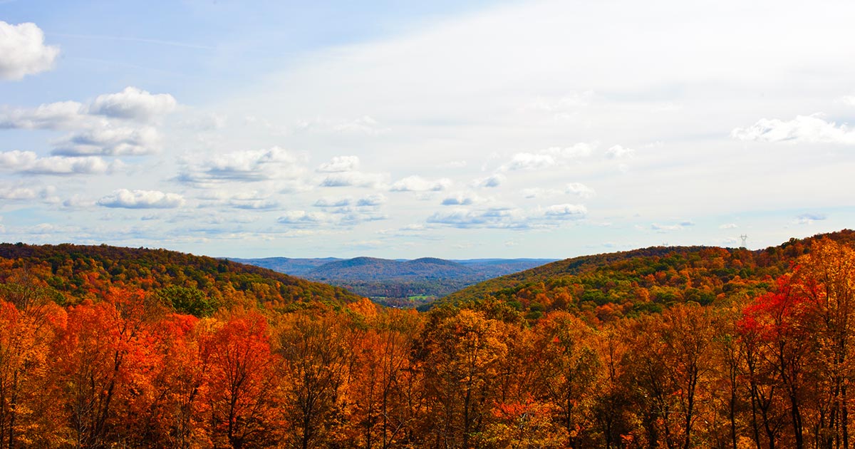 Liquid Gold – Crown Maple Maple Syrup from New York